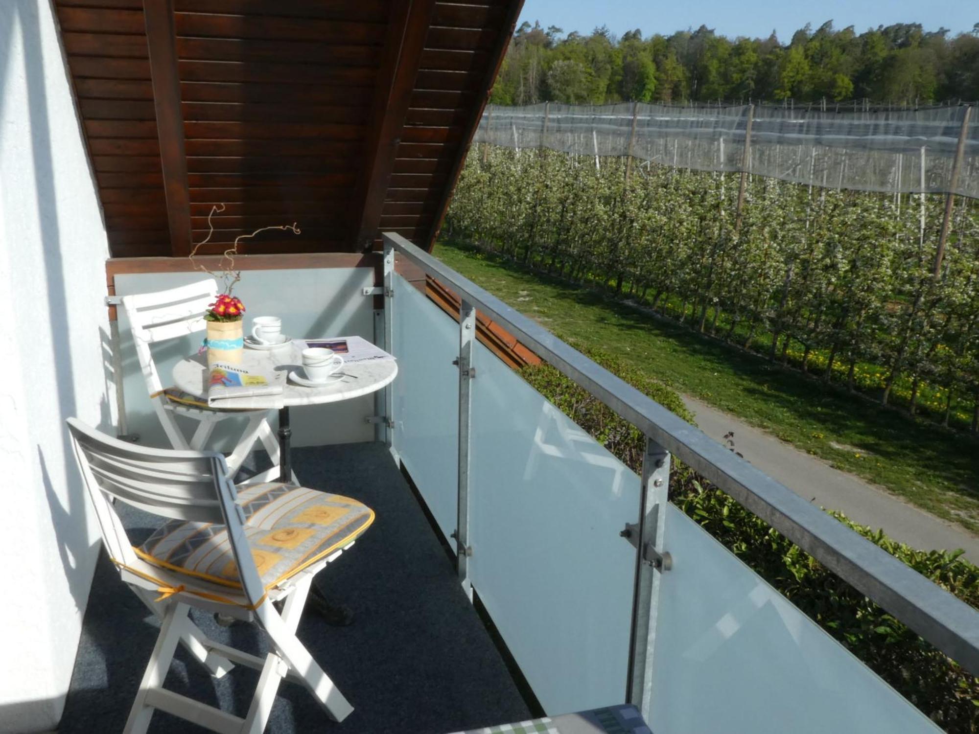Zerlaut Apartment